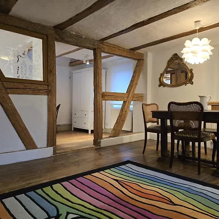 Beau Au Centre D'alsace Holiday home Epfig