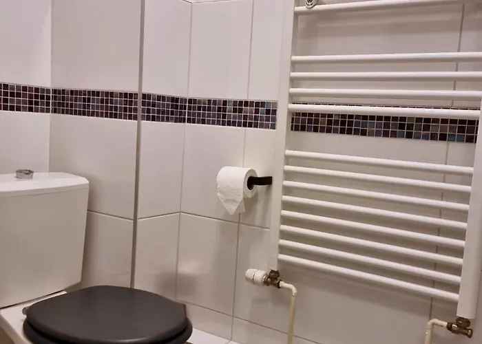 Beau Au Centre D'alsace Epfig